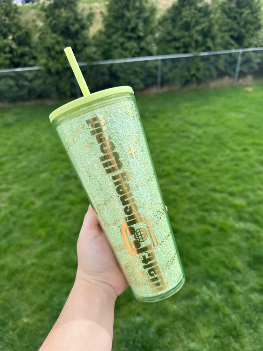 *FLAWED* Walt Disney World X Starbucks | Tinker Bell Green Travel Tumbler